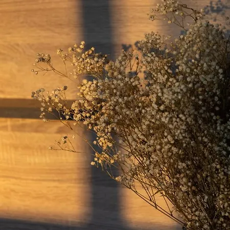 Lieblingsquartier - 11 Apartamento