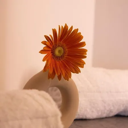 Apartamento Lieblingsquartier - 11 Sankt Andreasberg