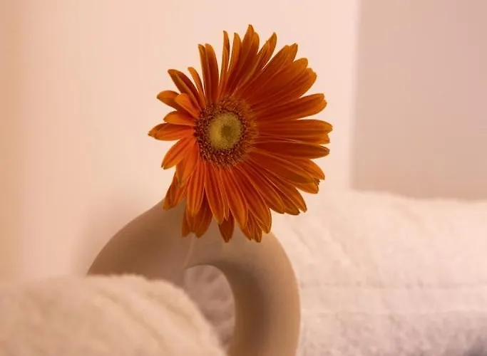 Daire Lieblingsquartier - 11 Sankt Andreasberg