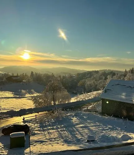 Lieblingsquartier - 11 Daire